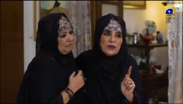 Bahar Nagar - Episode 85 - 14th November 2025